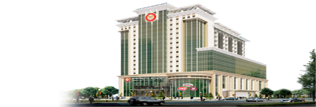 Phnom Penh International University