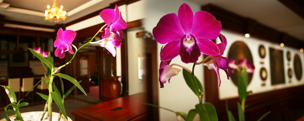 Princess Angkor Hotel