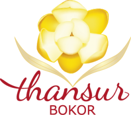 Thansur Bokor Highland Resort